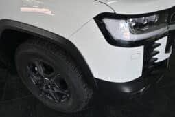 TOYOTA LAND CRUISER 300 3.3D GR-S full