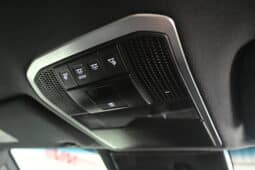 TOYOTA LAND CRUISER 300 3.3D GR-S full